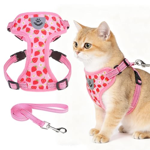 EXPAWLORER Escape Proof Cat Harness and Leash Set - Soft Breathable Vest Harness with Adjustable for Kitten Puppy Outdoor ...