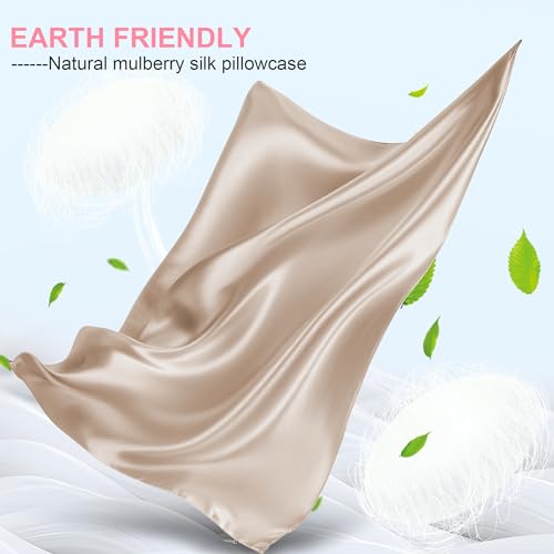 Mulberry Silk Pillow Cases 2 Pack Standard Size 20x26 Inches with Hidden Zipper, Ultra Smooth and Soft Breathable Cooling ...