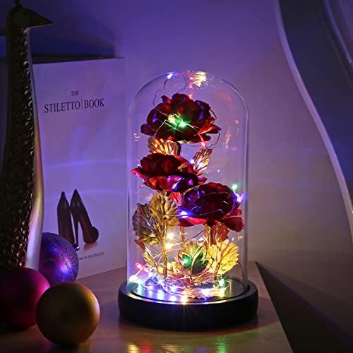 Mothers Day Flower Gifts for Mom,Wife,Mother Rose Galaxy Flower Red Rose in Glass Dome,Light Up Rose Flowers with 2 Lighti...