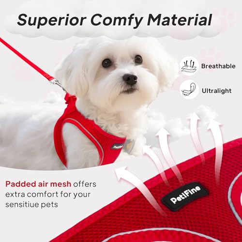 PetiFine Step in Small Dog Harness and Leash Set, Breathable All Weather Air Mesh Reflective Escape Proof, Step-in Vest Ha...