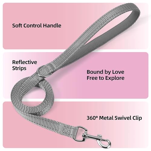 VernAlly Sparkly Dog Harness Small Sized and Leash Set for Small Dogs Cats,Pink XXS Puppy Harness, Step in Soft Dog Reflec...