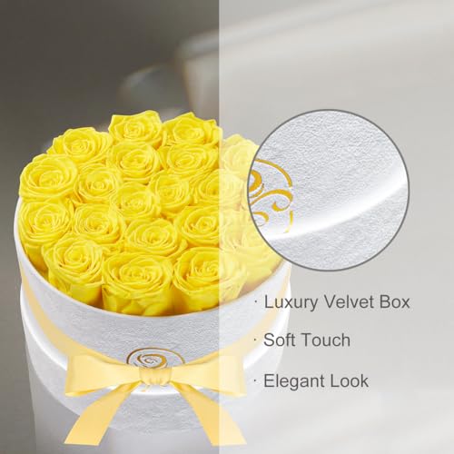 Gifts for Women Preserved Roses Flower Box, Luxury Velvet Box with 20 Roses, Preserved Flowers, Romantic Gift for Her, Wif...
