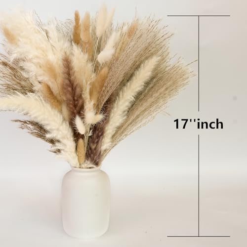 610 PCS Dried Pampas Grass Decor, Dried Flower Bouquets for Wedding, Home, Centerpiece Table, Modern Home, Western Living ...