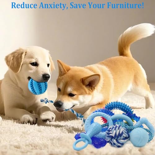 Beiker 20 Pack Puppy Chew Toys - Blue Dog Teething Toys for Puppies, Puppy Teething Rings and Ropes, Blue Rubber Toy Bundl...