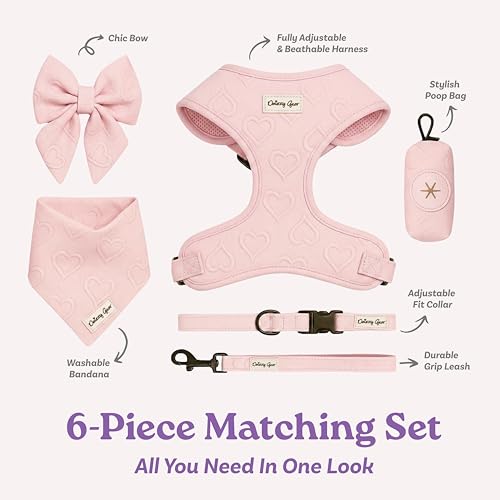 Small Dog Harness Set – Cute No Pull, All Weather, Breathable Harness and Leash Set with Collar, Bandana, Sailor Bow & Poo...