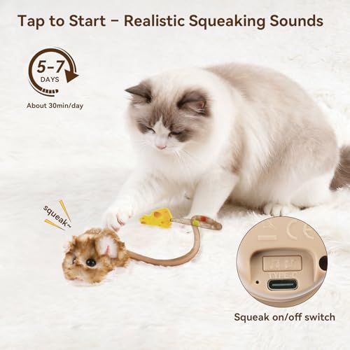 Migipaws Interactive MigiMouse Cat Toy 360° Rolling & Spin with Mesh Plastic Tail for Indoor Cats Smart Motion Sensor, Rea...