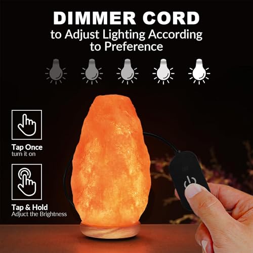 WBM LLC Himalayan Glow Natural Pink Salt Lamp, Crystal Salt Lamp Night Light with (ETL Certified) Brightness Control Dimme...