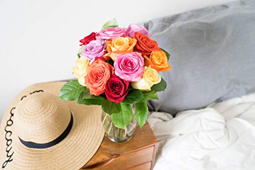 From You Flowers - One Dozen Rainbow Roses with Glass Vase | Fresh Flower Bouquets for Birthday, Anniversary, Get Well or ...