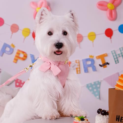 Didog Cute Small Dog Harness Collar and Leash Set with Bowtie, Breathable Soft Mesh Padded Puppy Harness, Pink Dog Harness...