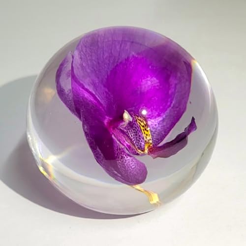 HQRP-Crystal 66mm Real Purple Orchid in Clear Lucite Resin Ball Anniversary Wedding Engagement Valentine October Birth Mon...