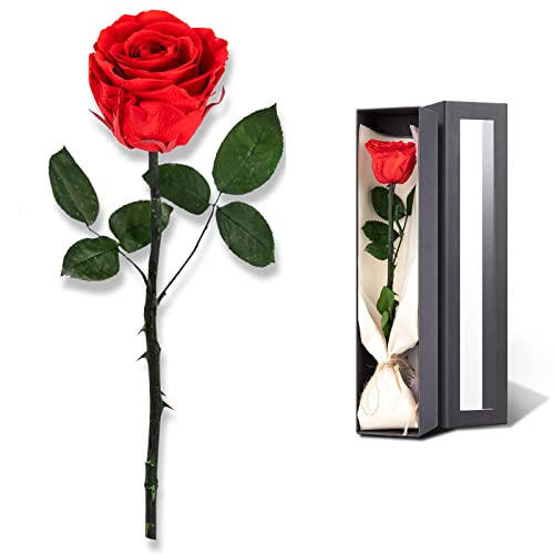 SofLiv Flowers for Delivery Prime, Preserved Roses Flower Gifts for Women, Real Roses Single Rose Presents for Her, Mom Bi...