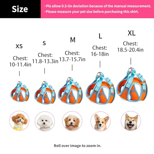 Ittokis Dog Harness for Small Medium Dogs, Kitten Harness and Leash Set, Step in Harness for Walking, Running, Training, S...