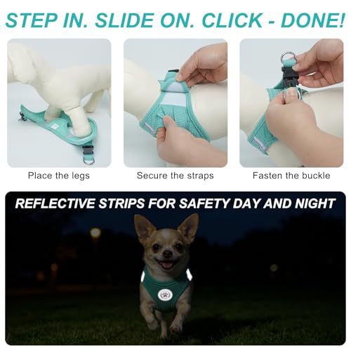 BEAUTYZOO Waffle Dog Harness Small Sized, No Pull Small Dog Harness and Leash Set, All Weather Soft Mesh Light Harness for...