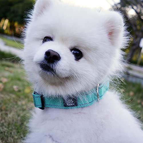 IVY&LANE Reflective Dog Collar and Leash Set,Adjustable Neoprene Padded Dog Collars for Puppy, Breathable Nylon Pet Collar...