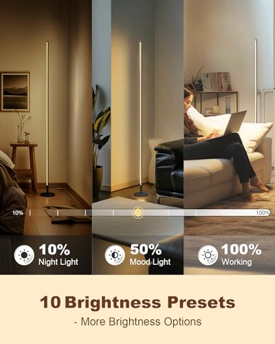 TACAHE Minimalist Corner Floor Lamp - 2700K-6500K Dimmable LED Night Light - Modern Standing Mood Lamp with Remote Control...
