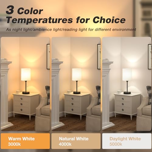 Small Bedside Table lamp for Bedroom - 3 Color Temperatures Bedside Lamps with USB C and A Ports, Pull Chain Table Lamps w...