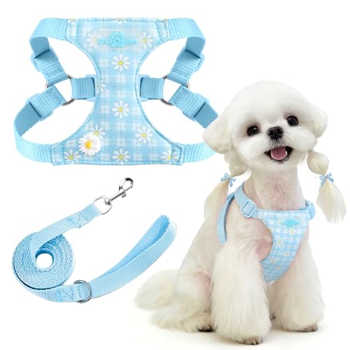 PETCARE Cute Small Dog Harness and Leash Set Blue Floral Daisy Puppy Harness Vest Adjustable Step in Spring Summer Soft Me...