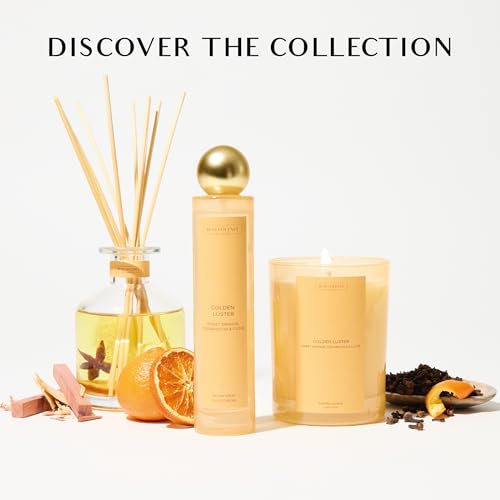 Orange, Cedarwood & Clove Scented Candle | 11oz, 60 Hour Burn | Natural Soy Wax, Cotton Wick | Soy Scented Candles for Hom...