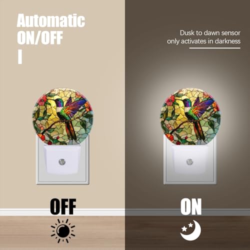 Mearafois LED Night Lights Lamp with Dusk to Dawn Sensor, Colorful Hummingbird Perched On Branch Night Light Plug Into Wal...