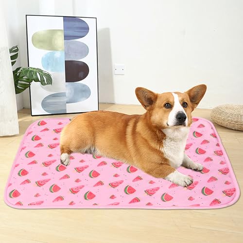 DELIFUR Cat Cooling Mat- Pet Cooling Mat Outdoor for Dogs Ice Pad for Kitten Cat Puppy Machine Washable (Small, Pink Water...