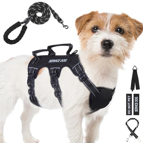 Escape Proof Dog Harness for Large Medium Sized Dogs Six Point Adjustable, Service Dog Vest Harness and Leash Set, No Pull...