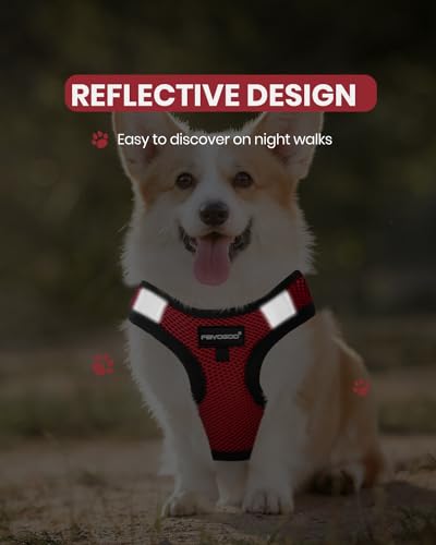 FAYOGOO Service Dog Vest for Small Dogs - Lightweight Dog Harness with 6PCS Removable Patches - Puppy Harness and Leash Se...