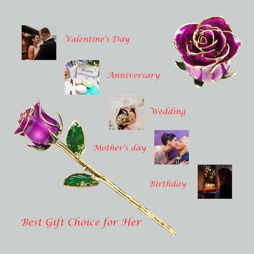 MAXSPT Gold Rose, 24K Gold Dipped Real Rose is Attractive Luster and Natural Shape, Best Gifts for Anniversary Wedding Val...
