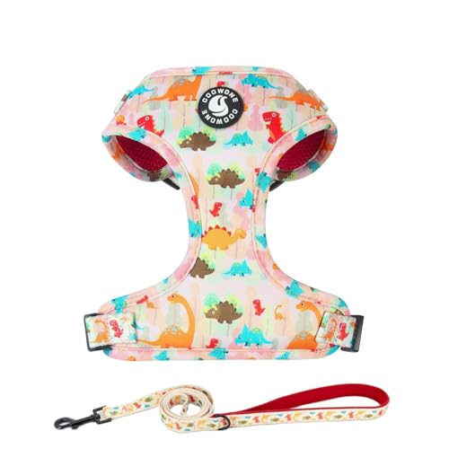 Adjustable Dog Harness and Leash Set for Girl Air Mesh Dog Vest Harness 5Ft Pet Training Leash with Soft Handle Pet Escape...