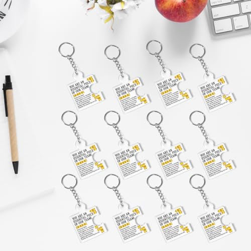 DRMNPKT Team Appreciation Gifts for Employee Coworker Staff Bulk, Teamwork Thank You Gift Set Puzzle Piece Acrylic Keychains