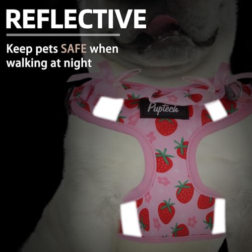 PUPTECK Dog Harness and Leash Set Small Sized, Step in No Pull Adjustable Puppy Cat Harness Reflective Pet Vest