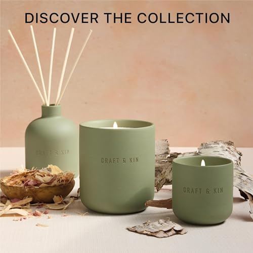 Craft & Kin Reed Diffuser for Home & Bathroom – White Birch & Cedar Holiday Reed Diffuser Set with Fragrance Sticks, Long-...