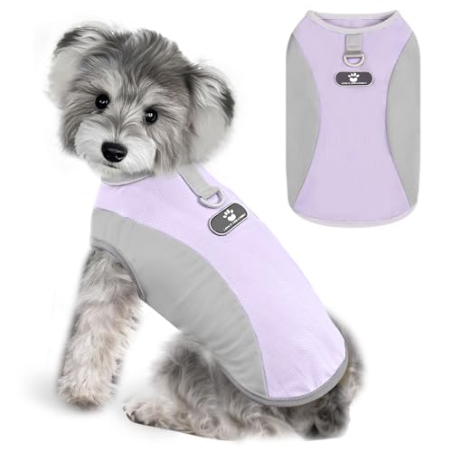 AXIIJGL Dog Cooling Vest with D-Ring Dog Tshirt Sun Protection Small Puppy Clothes for Girls Boys Stretchy Shirts for Dogs...