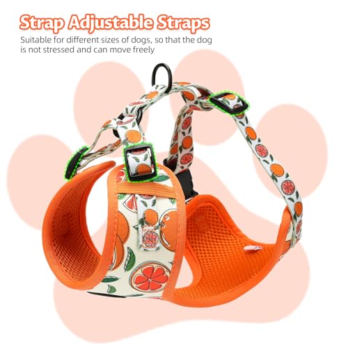 EPETKO Small Dog Harness and Leash Set of 6, No Pull Soft Lightweight Mesh Puppy Harness， Adjustable Cute Floral Pattern P...