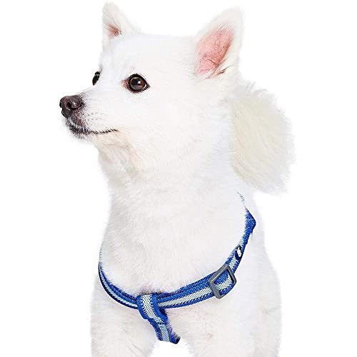 Blueberry Pet Essentials Reflective Back to Basics Matching Dog Harness and Leash Set, Navy Blue, Adjustable Harness with ...