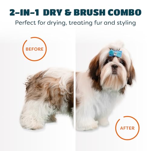 2-in-1 Dog Dryer with Slicker Brush for Small Dogs and Cats, Pet Hair Dryer, Dog Blow Dryer for Grooming with 300 Watts, 7...
