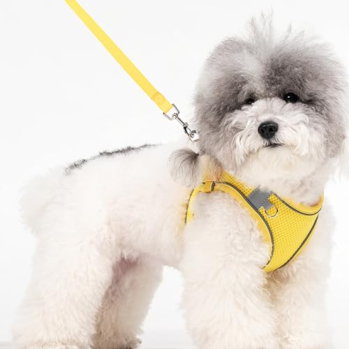 Aecllcea Dog Harness for Small Medium Sized Dog, Puppy Harness and Leash Set Training, Dog Harness and Leash Set, Dog Vest...