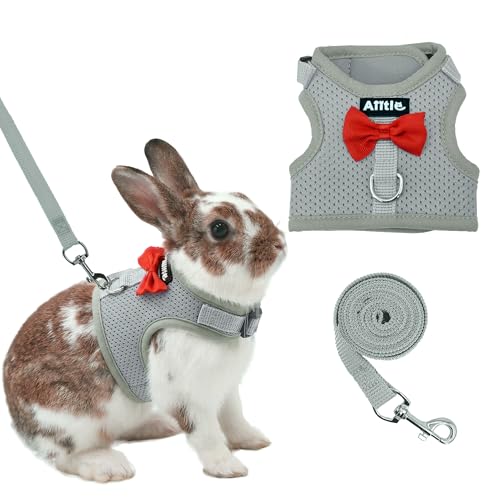 AIITLE Rabbit Harness and Leash Set with Cute Bow, Soft Breathable Mesh Vest Harness for Rabbits Kitten Ferret Puppy Small...