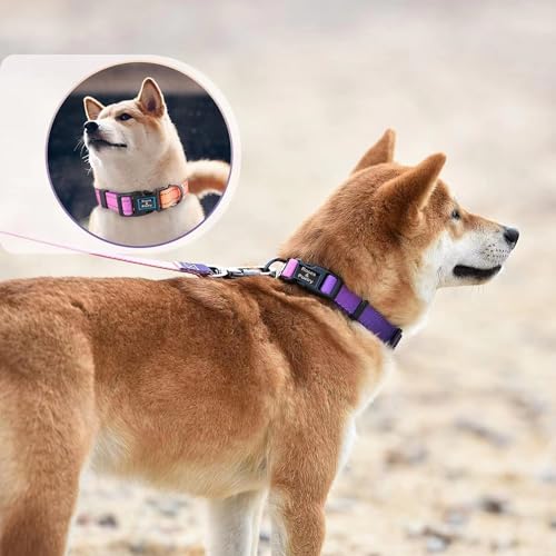 Roses&Poetry Puppy Dog Collar and Leash Set, Reflective Dog Leash for Small Dogs, Cute Matching Collars and Leashes Padded...