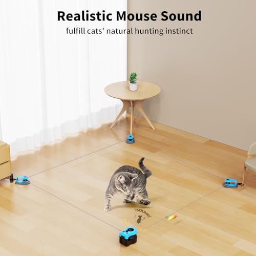 AsFrost Upgraded Interactive Cat Toy for Indoor Cats, Auto/Manual Control DIY Cat Feather Mouse Toy Treadmill for Bored Ki...
