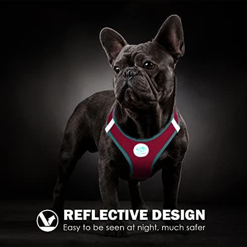 PHOEPET Step-in Dog Harness,Reflective Adjustable Dog Vest Harness, Soft Pet Walking Jacket with 2 Metal Leash Hooks for D...