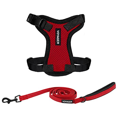 Best Pet Supplies Voyager Step-in Lock Pet Harness w Reflective Pet Leash Combo Set with Neoprene Handle 5ft - Supports Sm...