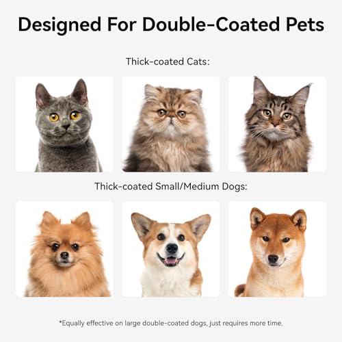 aumuca Undercoat Rake for Cats & Small/Medium Dogs – Deshedding Brush & Dematting Comb for Double-Coated Pets with Long or...