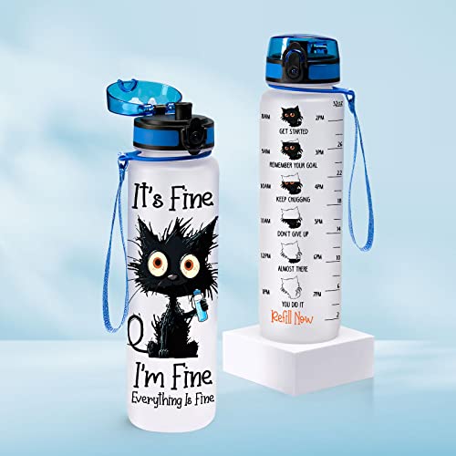 34HD Crazy Cat Water Bottle 32 oz Tritan Plastic, Its Fine Everything Is Fine Water Bottle, Funny Birthday Mothers Day Hal...