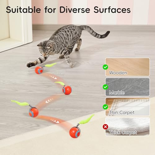 Potaroma Moving Ball Cat Toys with Feather Tail, Rechargeable 2025 New Interactive Toy for Indoor Cats Exercise, Smart Int...