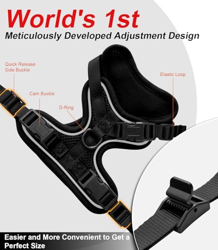 Cat Harness and Leash for Walking Escape Proof Soft Adjustable Cat Leash Breathable Comfortable Vest Easy to Wear Kitten H...