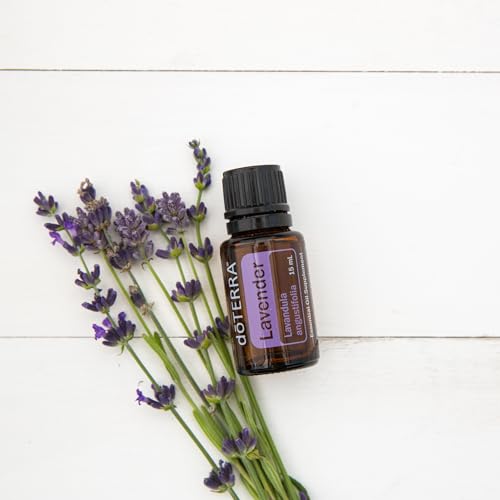 doTERRA Lavender Essential Oil - 15 ml (Lavender)