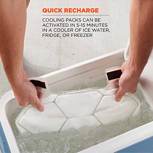 Ergodyne unisex adult Premium Phase Change - Packs FR Cooling Ice Vest, Orange, Large-X-Large US