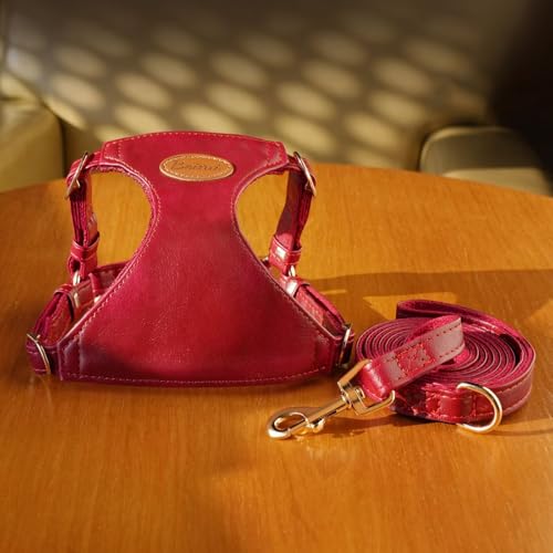 Beirui ‌Stylish PU Leather Dog Harness‌ and Leash Set for Small Dogs, ‌Adjustable Step in Dog Vest Harness with Breathable...