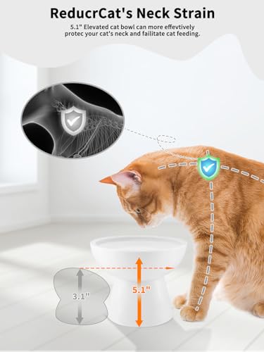 LoeJan Elevated Cat Food and Water Bowls Set, Extra Wide and Raised Ceramic Bowls, Anti-Vomit Whisker-Free Pressure Cat Fe...