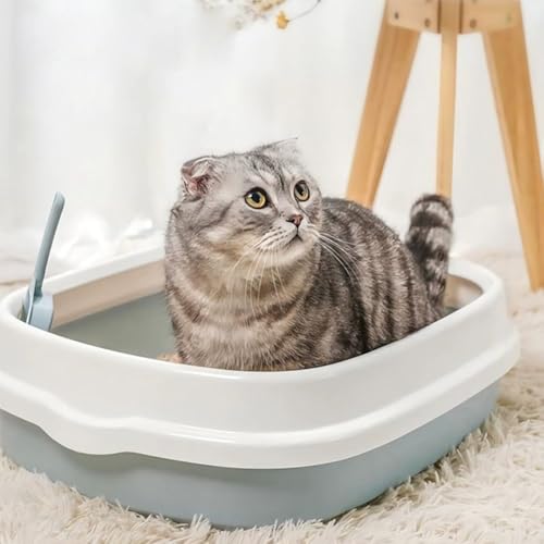 Kitten Starter Kit - 16 Pcs Cat Essentials Set Includes Litter Box, Toys, Collars, Scratch Pad, Nail File, Automatic Feed ...